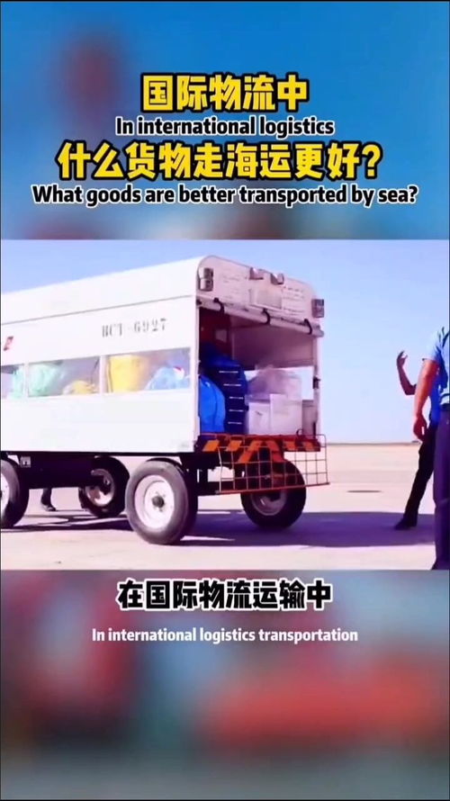 国际物流中适宜海运的货物类型及公路国际货物运输代理的重要性