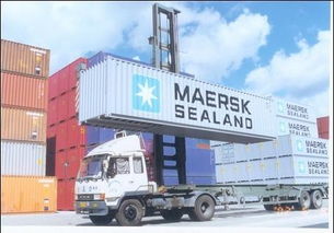 佛山国际货运代理综合服务指南 海运、物流、仓储一体化解决方案